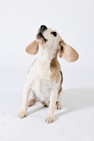 kliknutím zavřete okno