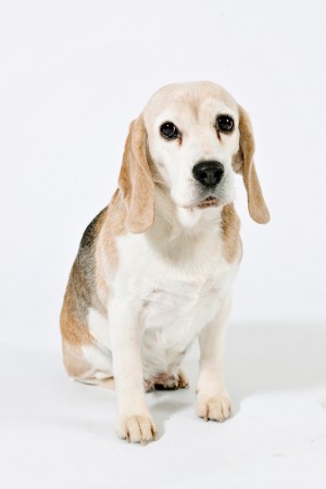 kliknutím zavřete okno