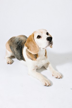 kliknutím zavřete okno