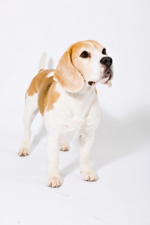 kliknutím zavřete okno