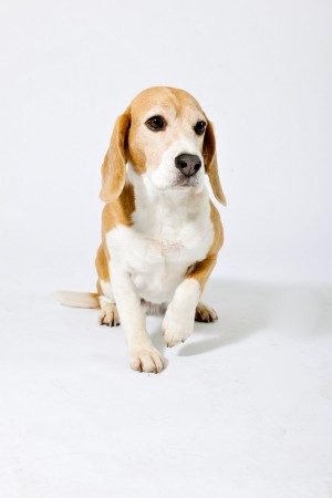 kliknutím zavřete okno