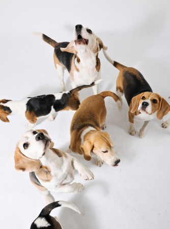 kliknutím zavřete okno