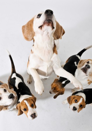 kliknutím zavřete okno