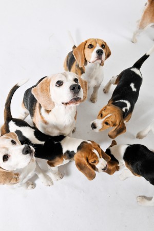 kliknutím zavřete okno