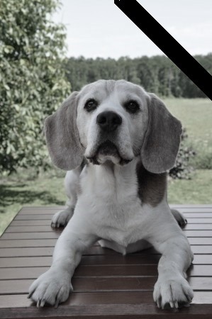 kliknutím zavřete okno