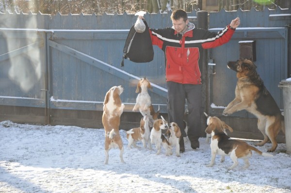 Pániček přišel domů