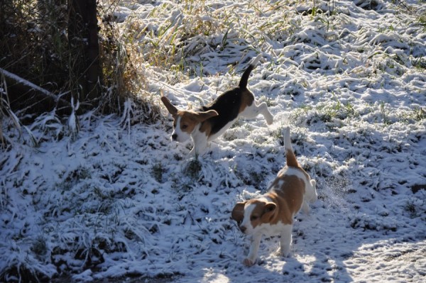 kliknutím zavřete okno
