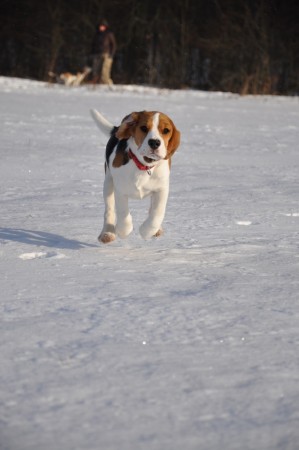kliknutím zavřete okno