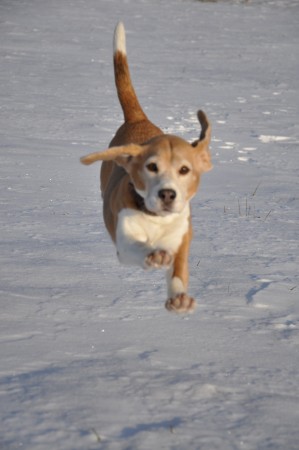 kliknutím zavřete okno