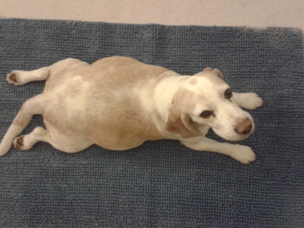 kliknutím zavřete okno