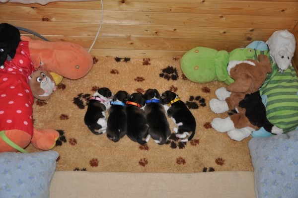 kliknutím zavřete okno