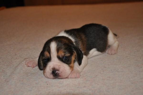 3.holčička=JUTURNA