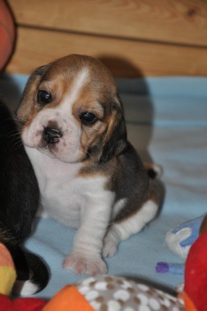 kliknutím zavřete okno