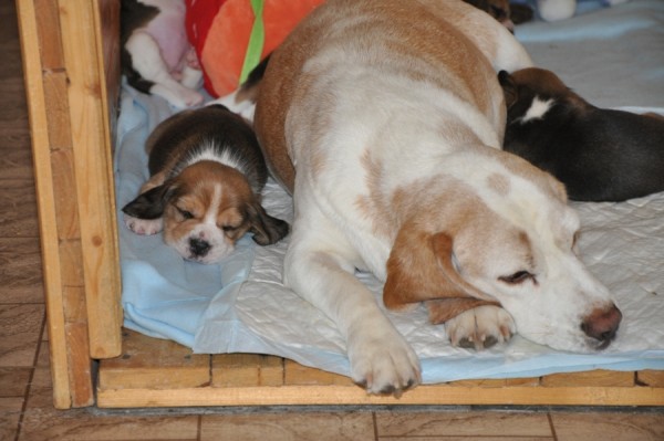 kliknutím zavřete okno