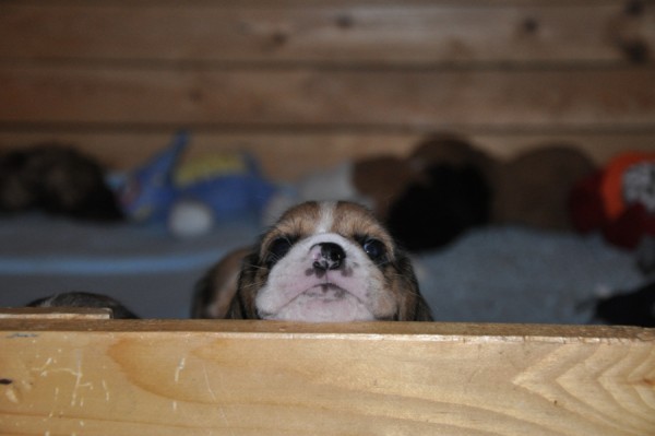 někteří jsou ještě malincí