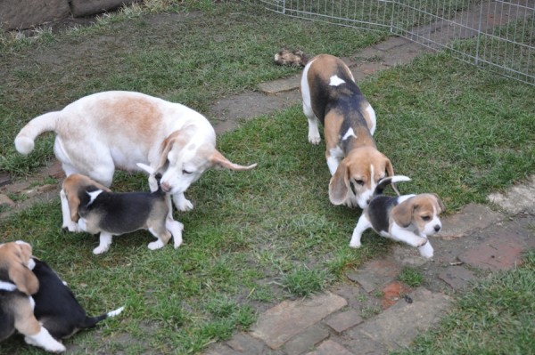 kliknutím zavřete okno