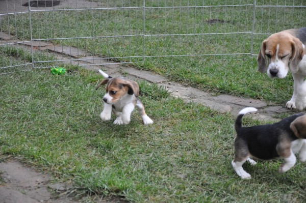 kliknutím zavřete okno