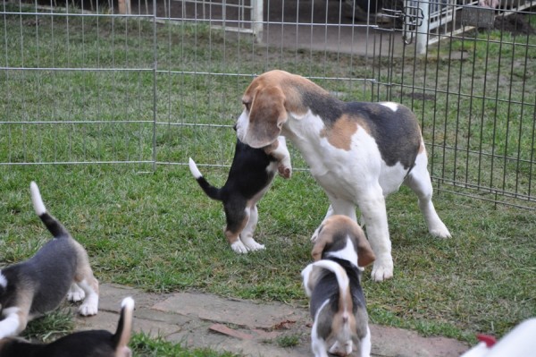 kliknutím zavřete okno