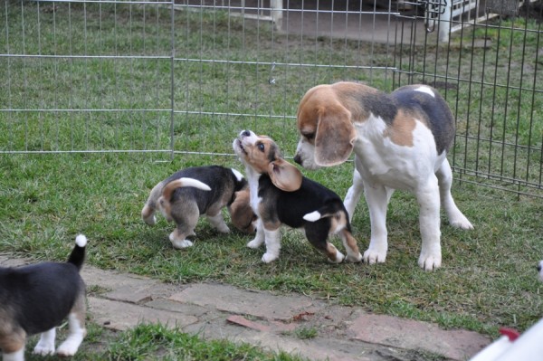 kliknutím zavřete okno