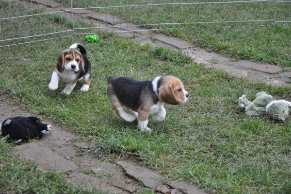 kliknutím zavřete okno