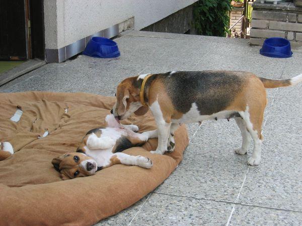 kliknutím zavřete okno