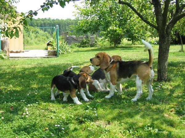 kliknutím zavřete okno