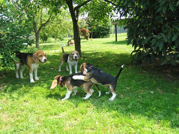 kliknutím zavřete okno