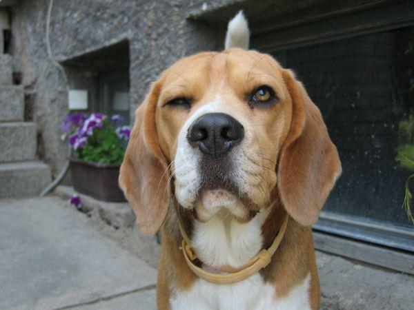 kliknutím zavřete okno