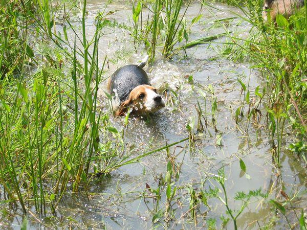 kliknutím zavřete okno