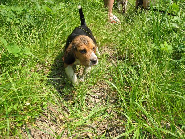 kliknutím zavřete okno