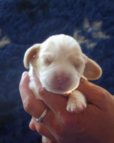 kliknutím zavřete okno