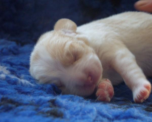 kliknutím zavřete okno