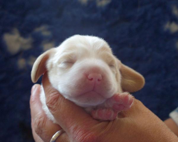 kliknutím zavřete okno