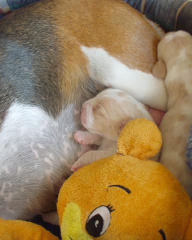 kliknutím zavřete okno