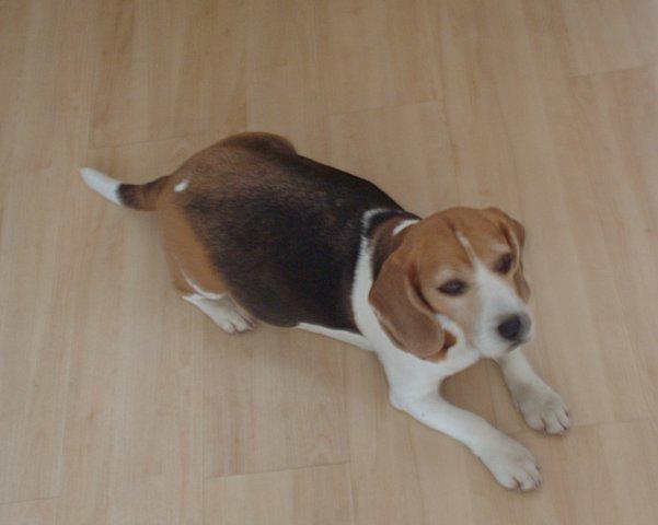 kliknutím zavřete okno