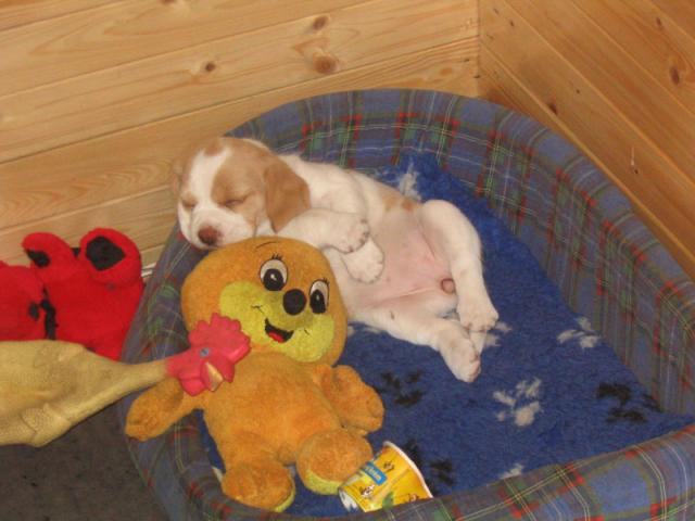 kliknutím zavřete okno