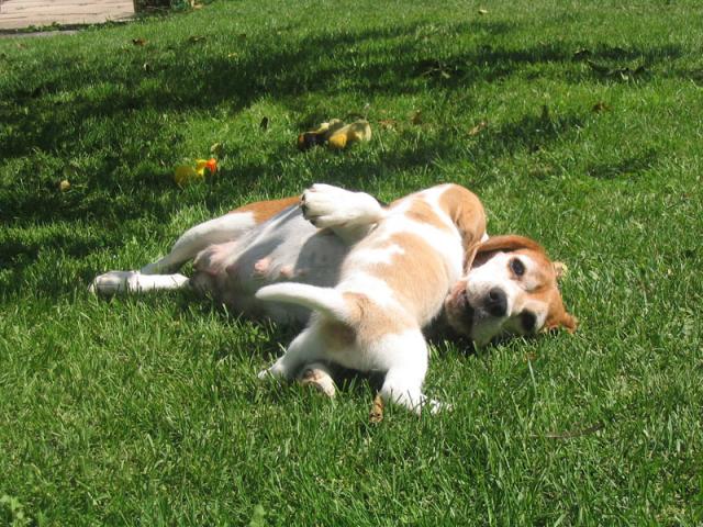 kliknutím zavřete okno