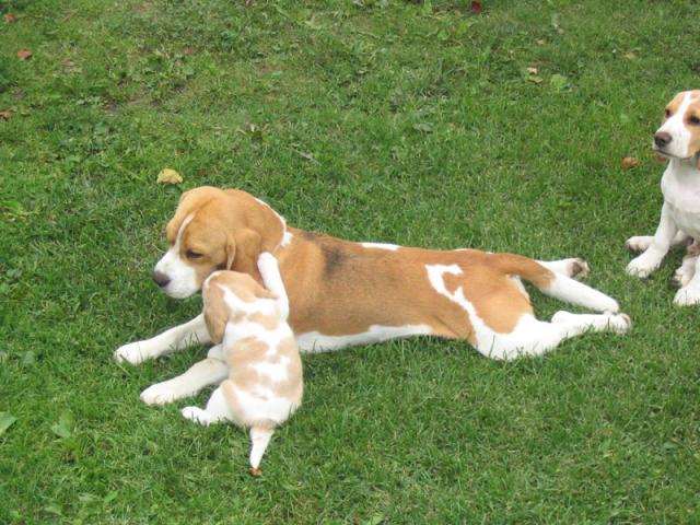 kliknutím zavřete okno