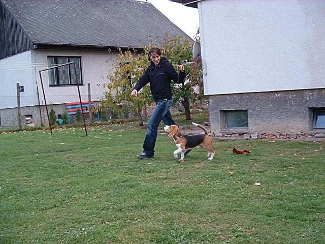 kliknutím zavřete okno