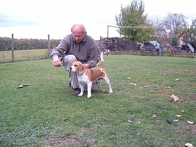 kliknutím zavřete okno