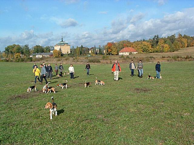 kliknutím zavřete okno