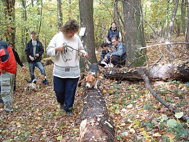První praktický úkol