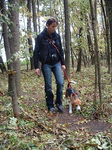 kliknutím zavřete okno