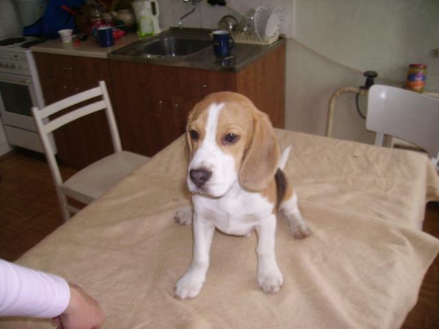 kliknutím zavřete okno