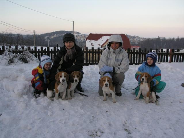 kliknutím zavřete okno