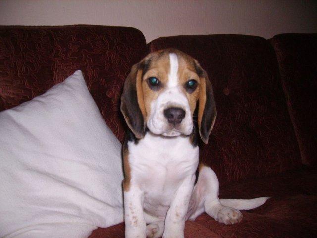 kliknutím zavřete okno