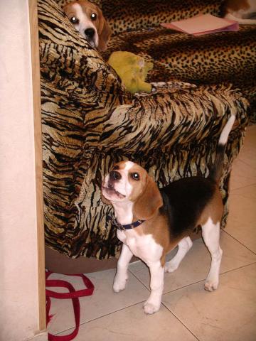 kliknutím zavřete okno