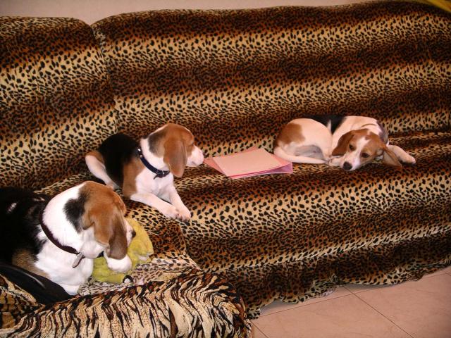 kliknutím zavřete okno