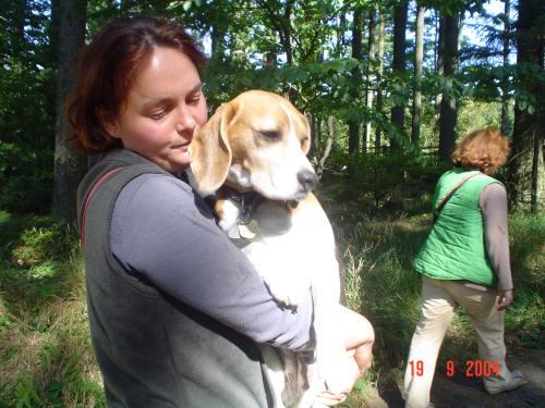 kliknutím zavřete okno