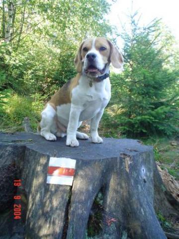 poradne se rozhlednu po okoli